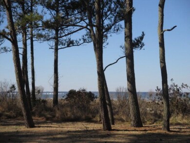 Lot # 10 Wildcat Ln unit 10, Chincoteague, VA 23336 - photo 3