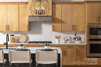 4133 Eastover Glen Rd unit 344, Charlotte, NC 28269 - photo 2