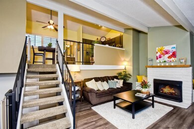 7319 Alicante Rd, Carlsbad, CA 92009 - photo 5