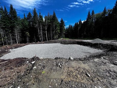 Cleared and Excavated
