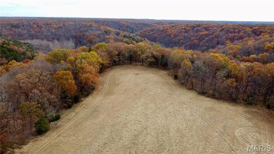 Tract 12 Polston Ln, Hickory Grove Township, MO 63357 - photo 3