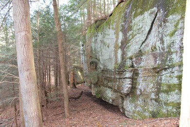 27621 Big Pine Rd, Logan, OH 43138 - photo 7