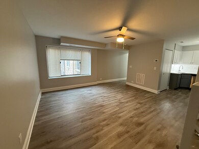 744 W Gordon Terrace unit 312, Chicago, IL 60613 - photo 3