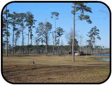 150 Masonite Lake Rd, Laurel, MS 39443 - photo 4