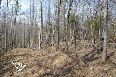 0 Cowpens Pacolet Rd unit 23075109, Spartanburg, SC 29307 - photo 3