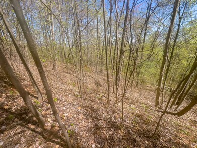 TBD Yellow Locust Dr, Fancy Gap, VA 24328 - photo 5