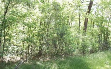 0 Dingo Way unit 86644, Fort White, FL 32038 - photo 2