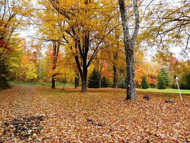 2 Driveway and Front Yard