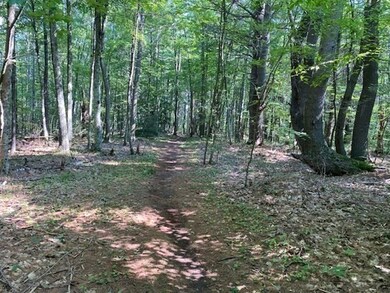 1718 West St unit 1734, Barre, MA 01005 - photo 6