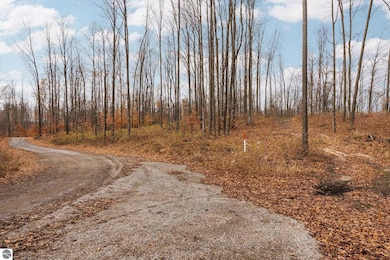 Lot E Retreats Way, Rapid City, MI 49676 - photo 4