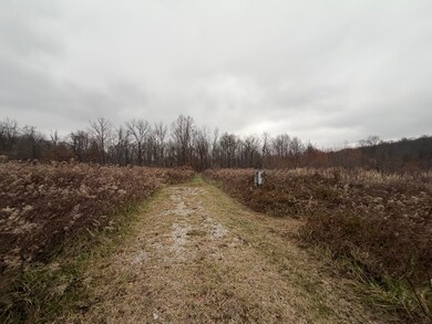 TBD E Willow Rd, Jackson Township, IN 47424 - photo 4