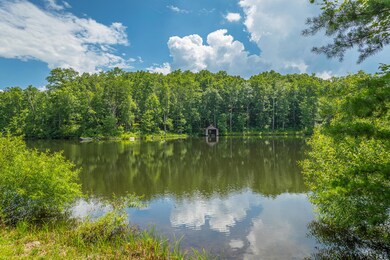 Lower Lake