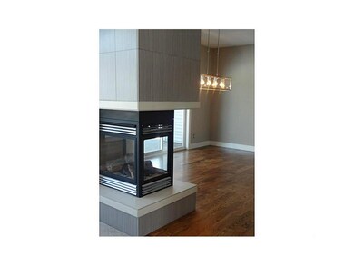 Other. The Fireplace is accessible to the dining r