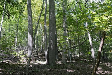 TBD Upper Possum Creek Rd, Gate City, VA 24251 - photo 3