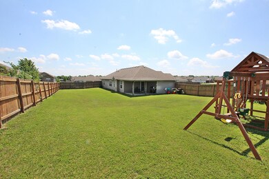 Back Yard 2
