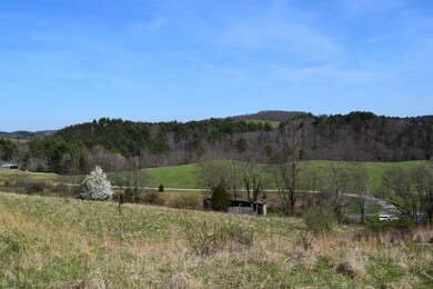 DSC_0056 (800x533)