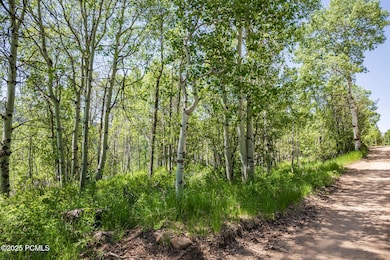 004_5428coulter28_474