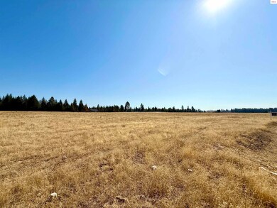 NKA N Stonemason Way, Rathdrum, ID 83858 - photo 3