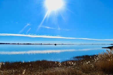 10244 Sandpiper Ln, Atlantic, VA 23303 - photo 2