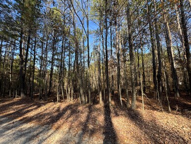 1151 Buckhead Dr, Tignall, GA 30668 - photo 4