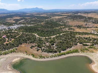 0 Tbd Road P2 Loop unit 827917, Mancos, CO 81328 - photo 7