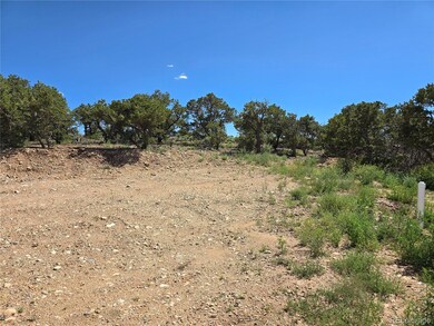 3838 Fontaine Rd, Fort Garland, CO 81133 - photo 4