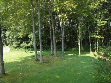 Yard/Garden.