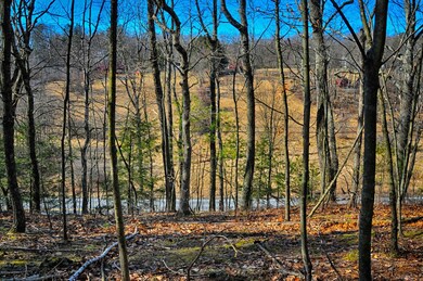 0 Lr 45042 Sugar Hollow Rd unit PM-75864, Saylorsburg, PA 18353 - photo 7