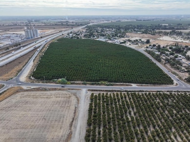 0 19 5 Acres On Bloss Ave unit 225131284, Delhi, CA 95315 - photo 2