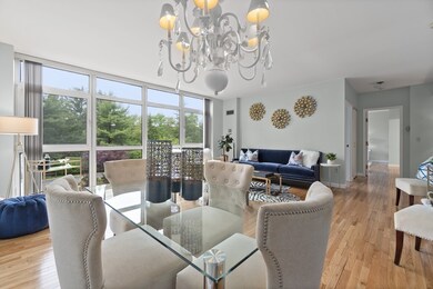 79 Florence St unit 205S, Chestnut Hill, MA 02467 - photo 6