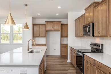 2007 Red Woodpeckers Ct # 33, Leland, NC 28451 - photo 3