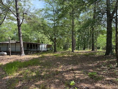 County Road 24, Tallassee, AL 36078 - photo 2