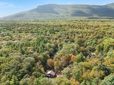 31 Bunny Run Rd, Saugerties, NY 12477 - photo 5