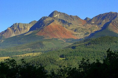 Primary View
