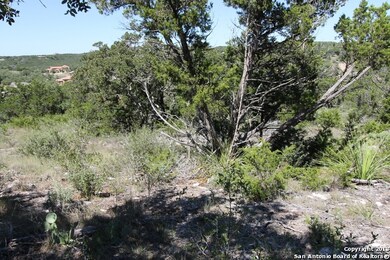 19319 Terra Brook, Northwest Side, TX 78255 - photo 6