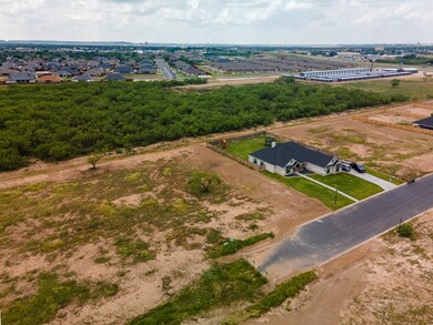 4545 Old Stone Dr unit 9, San Angelo, TX 76904 - photo 5