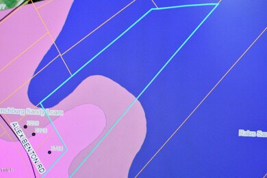 3724 Alex Benton Rd, Newton Grove, NC 28366 - photo 3