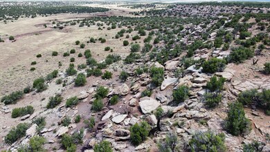 dji_fly_20240702_104520_492_171994232754