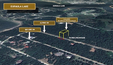 0 Alpine Dr, Eufaula, OK 74432 - photo 4