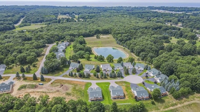 2-web-or-mls-DJI_0028
