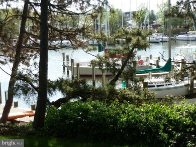 764 Fairview Ave unit B, Annapolis, MD 21403 - photo 3