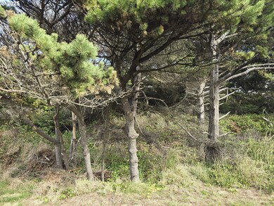 0 Lookout St unit 2, Florence, OR 97439 - photo 5