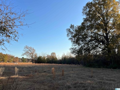 11 Acres Risers Mill Rd, Alpine, AL 35014 - photo 3