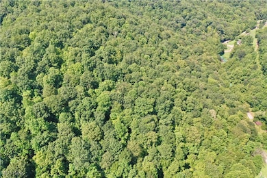 0002 Broomstick Rd, Big Bend, WV 26136 - photo 4