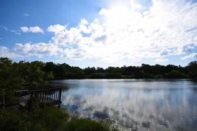 8 8th St E, Steinhatchee, FL 32359 - photo 3