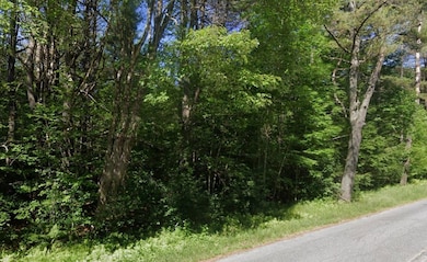 00 Willow Brook Rd, Plainfield, NH 03781 - photo 3