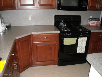 110 Serena Dr, Stroudsburg, PA 18360 - photo 6