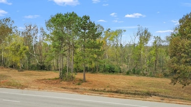 TBD N Hwy 155, Palestine, TX 75801 - photo 3