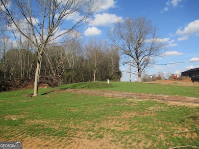 760 Carlton Johnson Rd, Waco, GA 30182 - photo 3