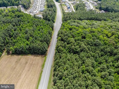 23963 Iris Dr, California, MD 20619 - photo 4